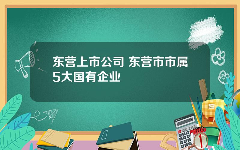 东营上市公司 东营市市属5大国有企业